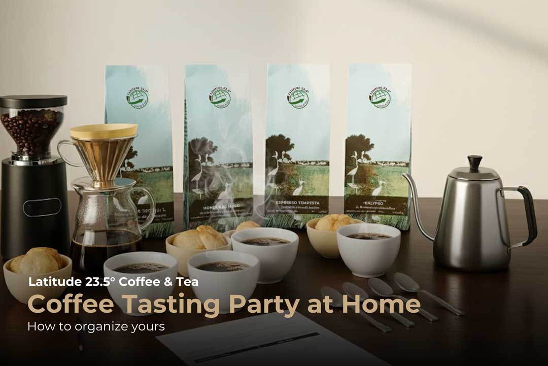 How to Host a Coffee Tasting Party at Home