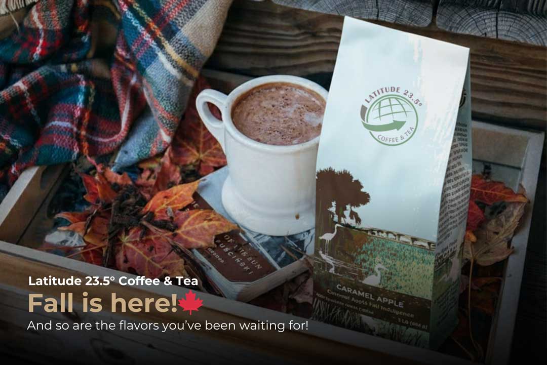 Your Fall Flavor Preview: What’s Brewing at Latitude Coffee?