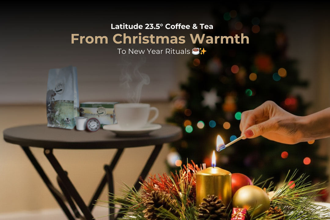 From Christmas to the New Year: The Power of Daily Rituals at Year’s ...