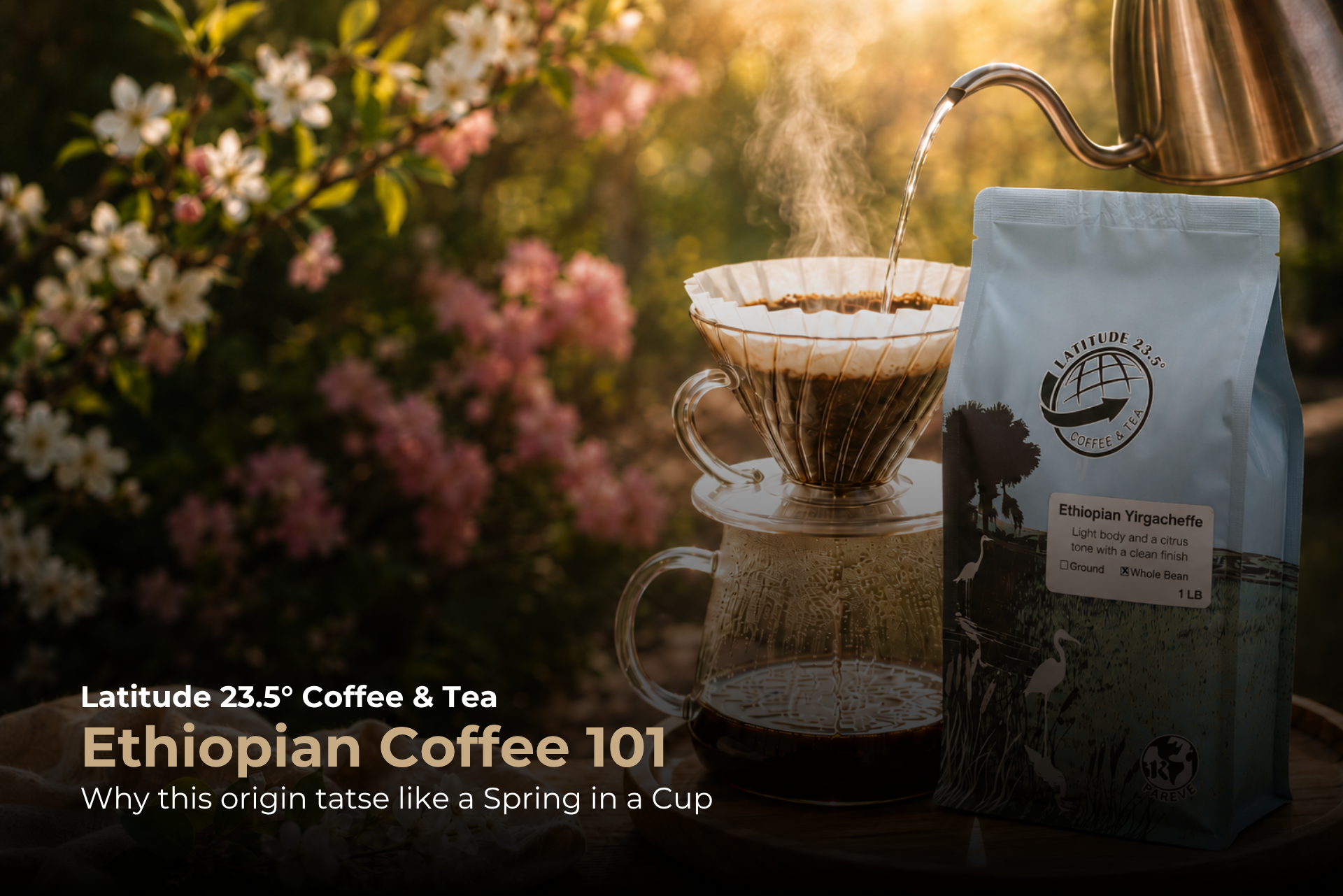 Ethiopian Coffee - LatitudeCoffee.com