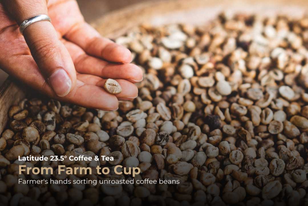 From Farm to Cup: How Ethical Sourcing Shapes Every Roast
