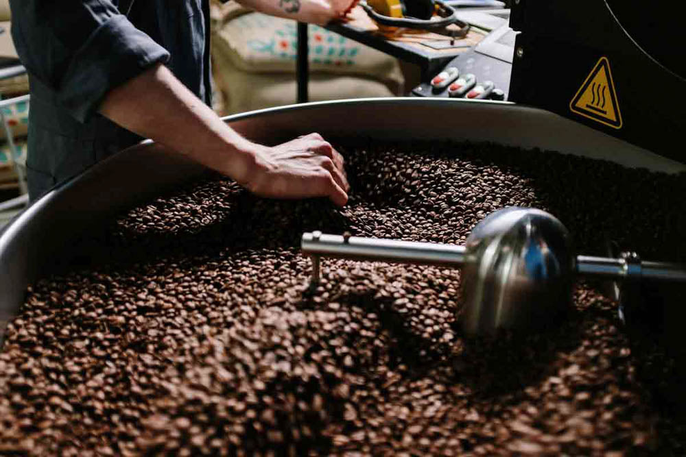 Artisan Roasting: The Craft Behind Every Cup of Latitude 23.5° Coffee