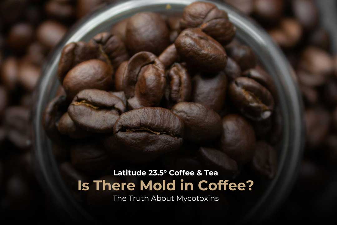 Is There Mold in Coffee? The Truth About Mycotoxins