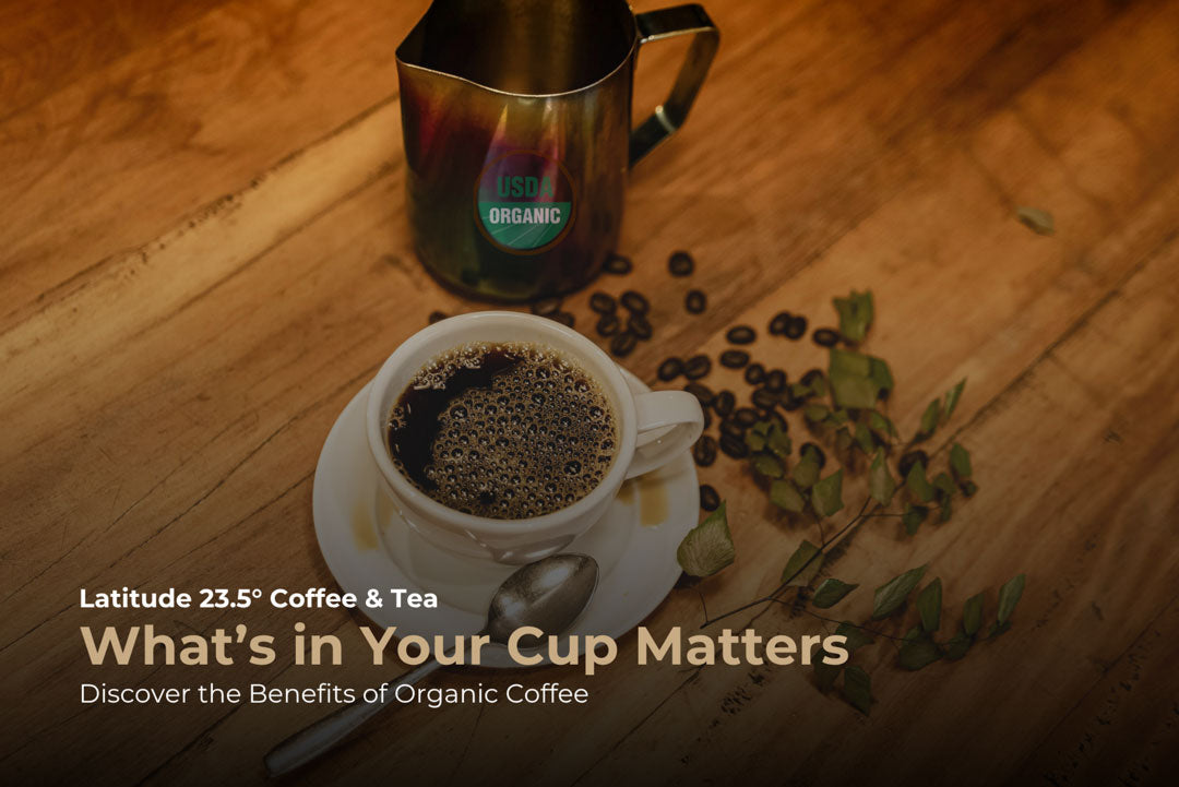 What Makes Coffee Organic? And Why It Matters to You