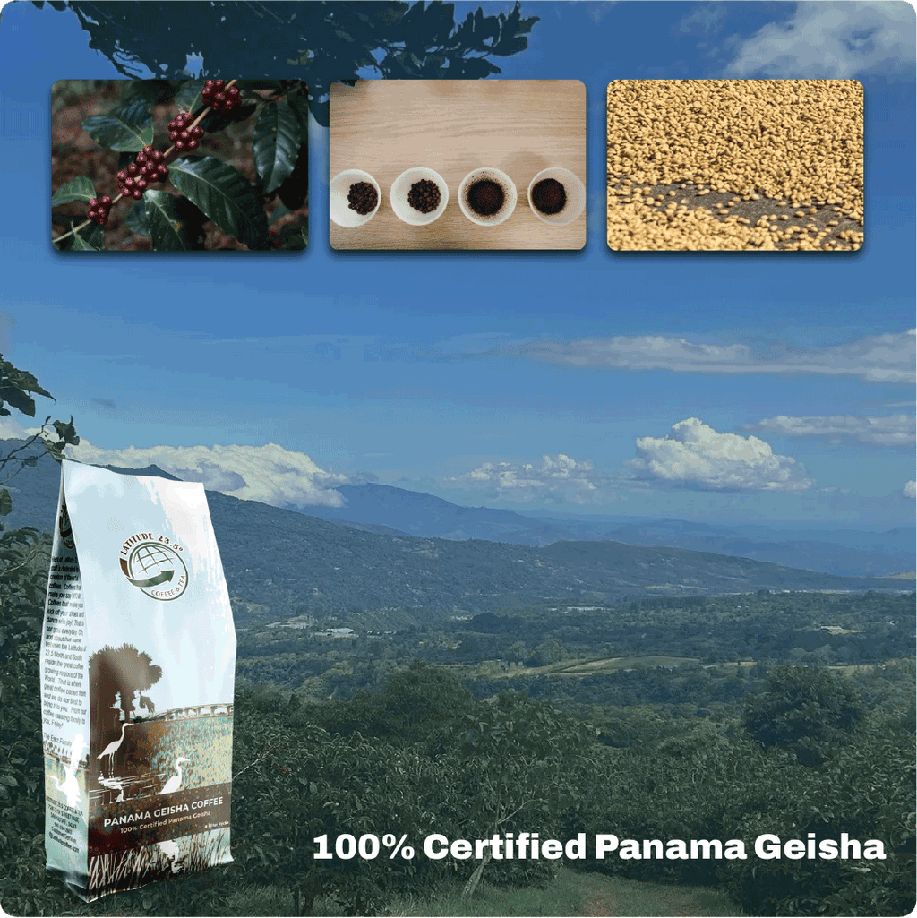 Panama Geisha Coffee