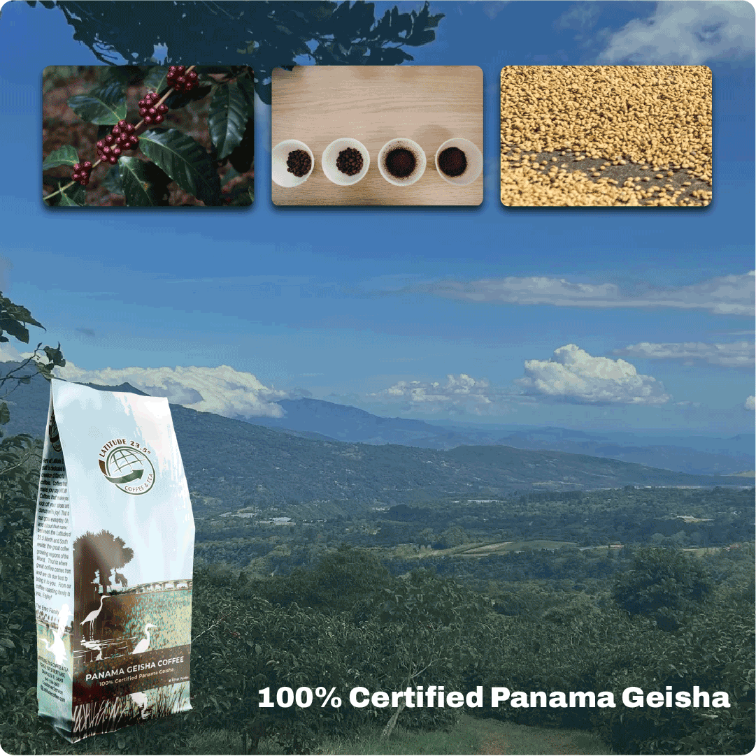 Panama Geisha Coffee